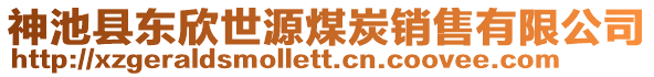 神池縣東欣世源煤炭銷售有限公司