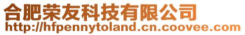 合肥榮友科技有限公司