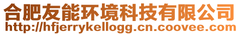 合肥友能環境科技有限公司