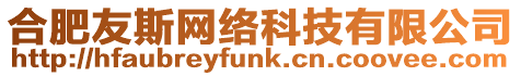 合肥友斯網絡科技有限公司