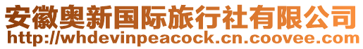 安徽奧新國際旅行社有限公司