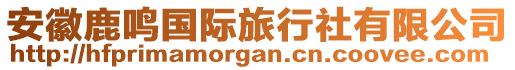 安徽鹿鳴國際旅行社有限公司