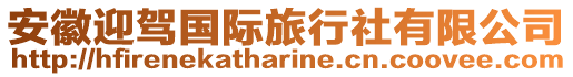 安徽迎駕國際旅行社有限公司