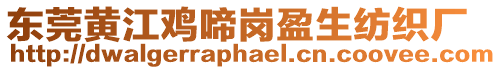 東莞黃江雞啼崗盈生紡織廠