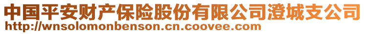 中國平安財(cái)產(chǎn)保險(xiǎn)股份有限公司澄城支公司