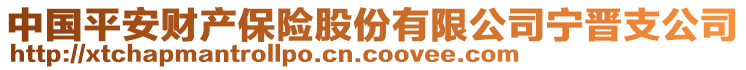 中國(guó)平安財(cái)產(chǎn)保險(xiǎn)股份有限公司寧晉支公司