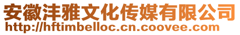 安徽灃雅文化傳媒有限公司