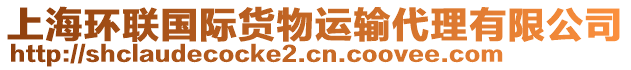 上海環(huán)聯(lián)國際貨物運(yùn)輸代理有限公司