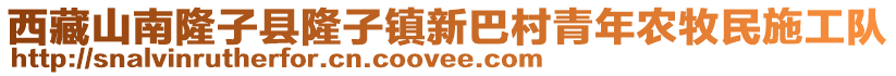 西藏山南隆子縣隆子鎮(zhèn)新巴村青年農(nóng)牧民施工隊