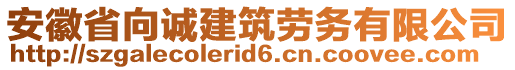 安徽省向誠(chéng)建筑勞務(wù)有限公司