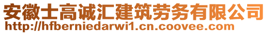 安徽士高誠匯建筑勞務有限公司