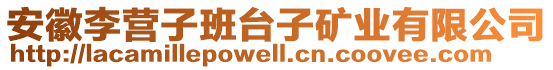 安徽李營子班臺子礦業(yè)有限公司