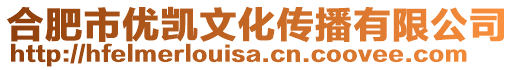 合肥市優(yōu)凱文化傳播有限公司