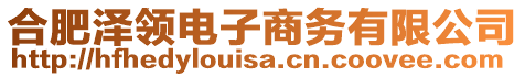 合肥澤領(lǐng)電子商務(wù)有限公司