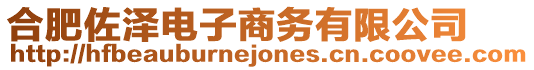 合肥佐澤電子商務(wù)有限公司