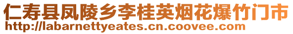 仁壽縣鳳陵鄉(xiāng)李桂英煙花爆竹門市