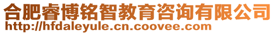 合肥睿博銘智教育咨詢有限公司