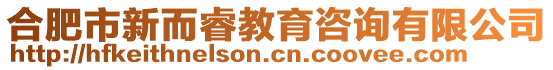 合肥市新而睿教育咨詢(xún)有限公司