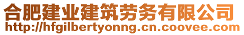 合肥建業(yè)建筑勞務有限公司