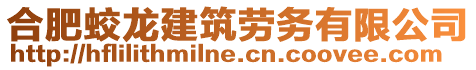 合肥蛟龍建筑勞務(wù)有限公司