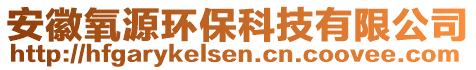 安徽氧源環(huán)?？萍加邢薰? style=