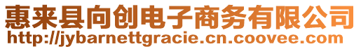 惠來(lái)縣向創(chuàng)電子商務(wù)有限公司