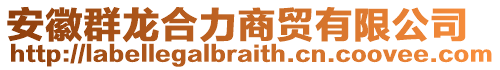 安徽群龍合力商貿有限公司