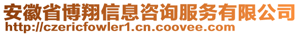 安徽省博翔信息咨詢服務有限公司