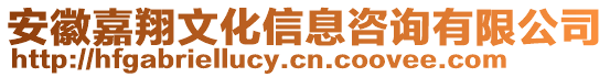 安徽嘉翔文化信息咨詢有限公司