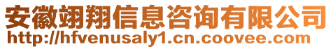 安徽翊翔信息咨詢有限公司