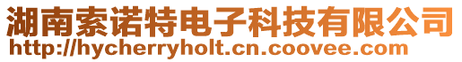 湖南索諾特電子科技有限公司