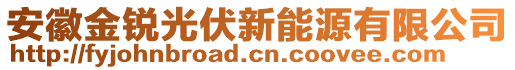 安徽金銳光伏新能源有限公司