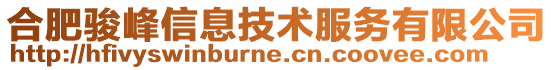 合肥駿峰信息技術服務有限公司