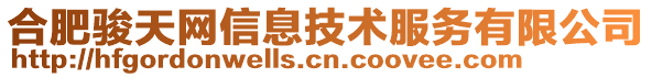 合肥駿天網信息技術服務有限公司