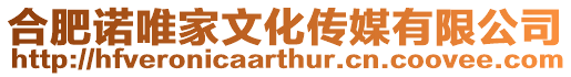 合肥諾唯家文化傳媒有限公司