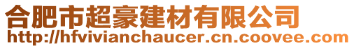 合肥市超豪建材有限公司