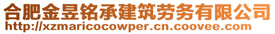 合肥金昱銘承建筑勞務(wù)有限公司