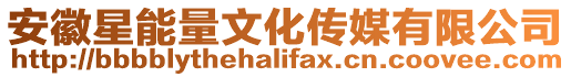 安徽星能量文化傳媒有限公司