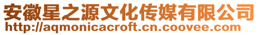 安徽星之源文化傳媒有限公司