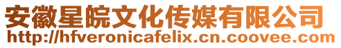 安徽星皖文化傳媒有限公司