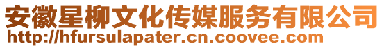 安徽星柳文化傳媒服務(wù)有限公司