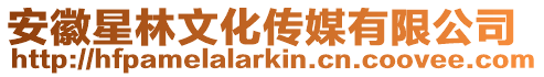 安徽星林文化傳媒有限公司