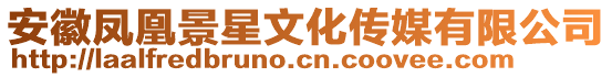 安徽鳳凰景星文化傳媒有限公司