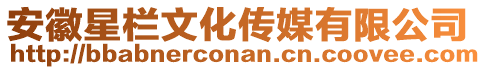 安徽星欄文化傳媒有限公司