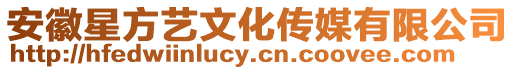 安徽星方藝文化傳媒有限公司