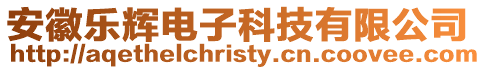 安徽樂(lè)輝電子科技有限公司