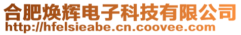 合肥煥輝電子科技有限公司