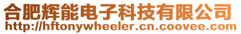 合肥輝能電子科技有限公司