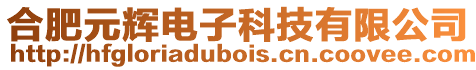 合肥元輝電子科技有限公司