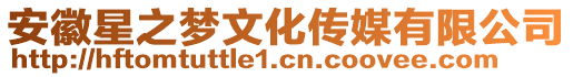 安徽星之夢文化傳媒有限公司